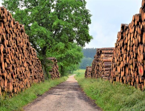 The Forest Industry – How Lean Methodology Contributes