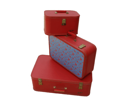 Lean and Six Sigma in Luggage Manufacturing