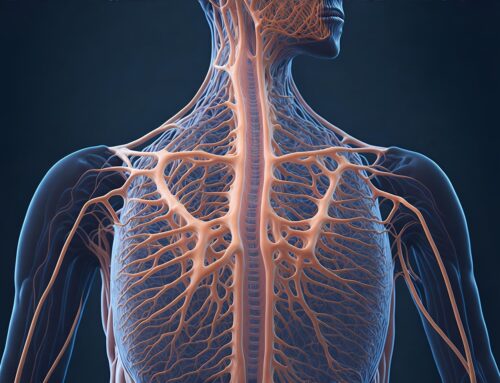 Lean and Six Sigma Applications in Neurology